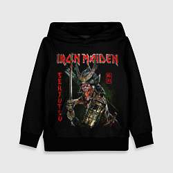 Толстовка-худи детская Iron Maiden, Senjutsu, цвет: 3D-черный