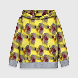 Толстовка-худи детская Попугай Корелла Орёт Мем, цвет: 3D-меланж