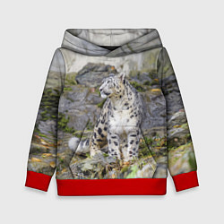 Толстовка-худи детская Снежный барс среди скал, цвет: 3D-красный