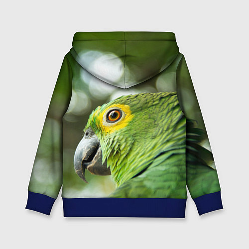 Детская толстовка Попугaй / 3D-Синий – фото 2