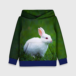Толстовка-худи детская Кролик на фоне травы, цвет: 3D-синий
