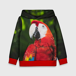 Толстовка-худи детская Красный попугай Ара, цвет: 3D-красный