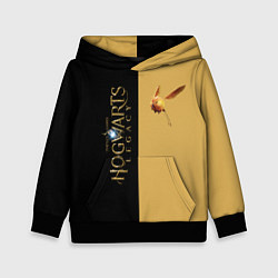 Толстовка-худи детская Hogwarts Legacy логотип и золотой снитч, цвет: 3D-черный