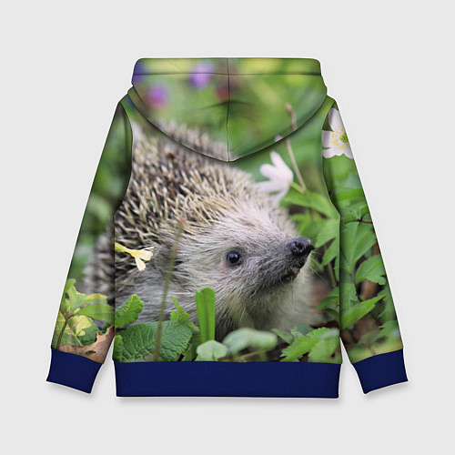 Детская толстовка Лесной ёжик в траве / 3D-Синий – фото 2
