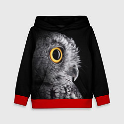 Толстовка-худи детская Сова - всевидящее око - big picture, цвет: 3D-красный