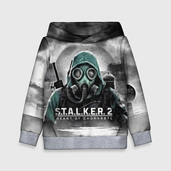 Толстовка-худи детская Stalker 2 heart of Chornobyl radiation, цвет: 3D-меланж