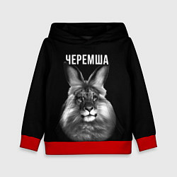 Толстовка-худи детская Черемша мем, цвет: 3D-красный