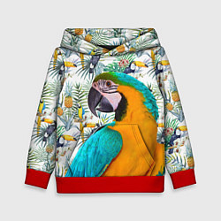 Толстовка-худи детская Летний попугай, цвет: 3D-красный