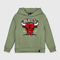 Детское худи оверсайз Chicago Bulls est. 1966