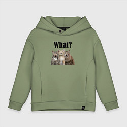 Детское худи оверсайз Удивленные кошки