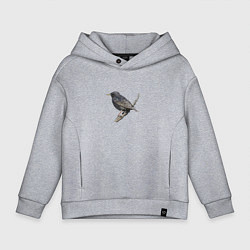Толстовка оверсайз детская Скворец, цвет: меланж