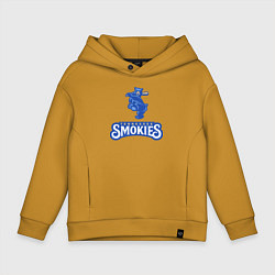 Детское худи оверсайз Tennessee smokies - baseball team