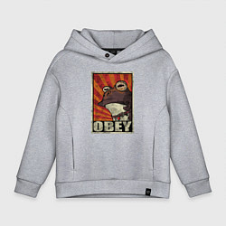 Толстовка оверсайз детская Obey frog, цвет: меланж