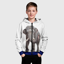 Толстовка на молнии детская Большой слон, цвет: 3D-синий — фото 2