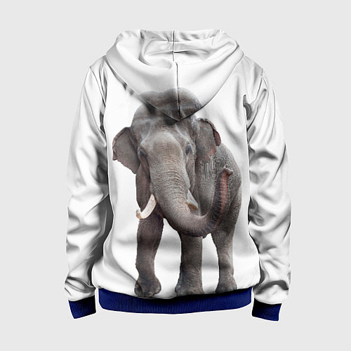Детская толстовка на молнии Большой слон / 3D-Синий – фото 2