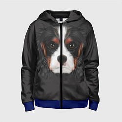 Толстовка на молнии детская Cavalier King Charles, цвет: 3D-синий