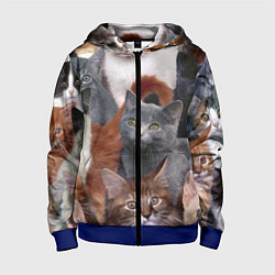 Детская толстовка на молнии КОТЯТКИ