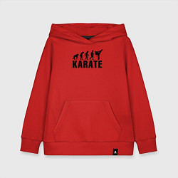 Детская толстовка-худи Karate Evolution