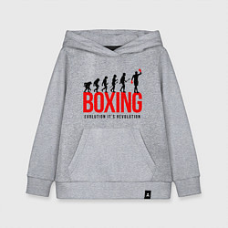 Толстовка детская хлопковая Boxing evolution, цвет: меланж