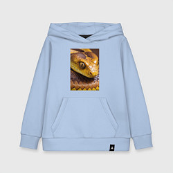 Толстовка детская хлопковая Песчаная змея, цвет: мягкое небо