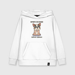Детская толстовка-худи Собака, мем, ничего не понял
