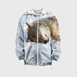 Куртка с капюшоном детская Спящий Волк, цвет: 3D-белый