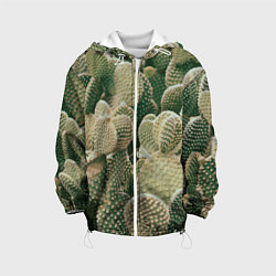 Детская куртка Поле кактусов