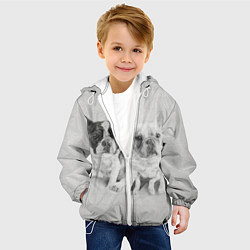 Куртка с капюшоном детская Французские бульдоги пара текстура стены, цвет: 3D-белый — фото 2