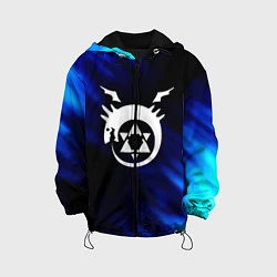 Куртка с капюшоном детская Fullmetal Alchemist soul, цвет: 3D-черный