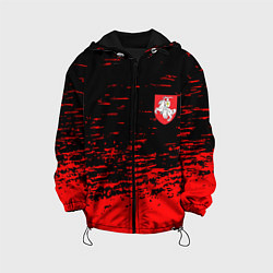 Куртка с капюшоном детская Герб Белоруссии краски красные, цвет: 3D-черный
