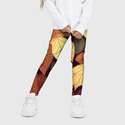 Леггинсы для девочки Листья осени узор, цвет: 3D-принт — фото 2