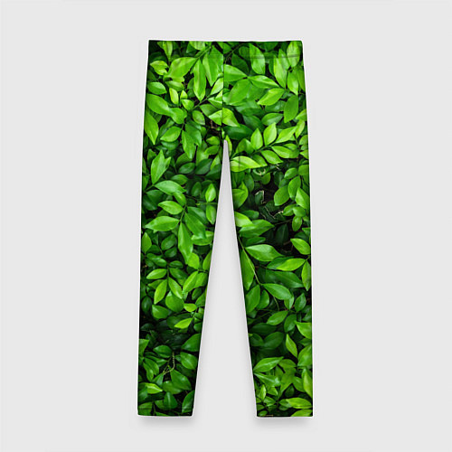Детские легинсы Листва текстура / 3D-принт – фото 2