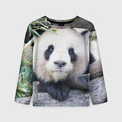 Детский лонгслив Панда отдыхает