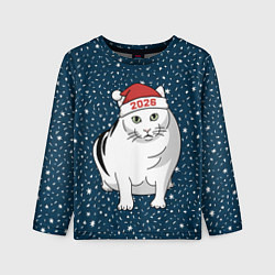 Детский лонгслив Кот мем - 2026