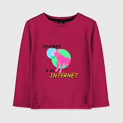 Лонгслив хлопковый детский Привет я из internet, цвет: маджента