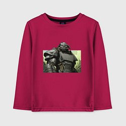 Детский лонгслив Fallout x Skyrim