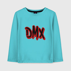 Детский лонгслив DMX Rap