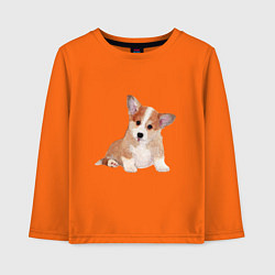 Лонгслив хлопковый детский Fluffy Corgi, цвет: оранжевый