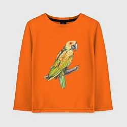 Лонгслив хлопковый детский Любимый попугай, цвет: оранжевый