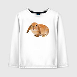 Детский лонгслив Рыжий пушистый кролик