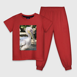 Пижама хлопковая детская Пеликан в природе, цвет: красный
