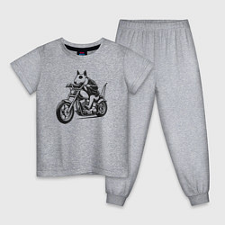 Пижама хлопковая детская Бультерьер байкер на мотоцикле чоппере, цвет: меланж