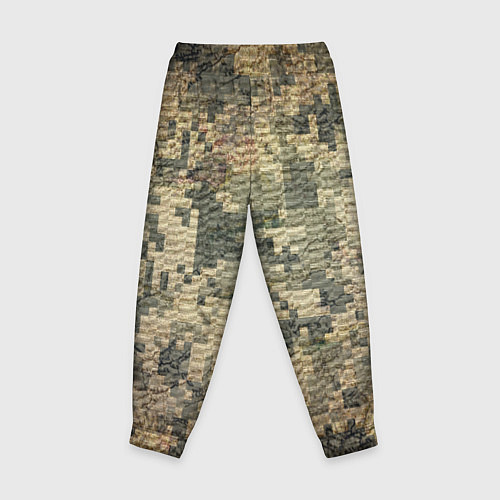 Детские брюки Камуфляж пиксельный: хаки / 3D-принт – фото 2