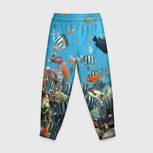 Детские брюки Коралловые рыбки / 3D-принт – фото 2