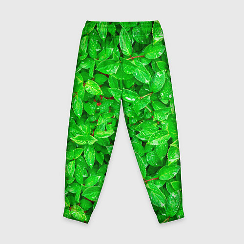 Детские брюки Зелёные листья - текстура / 3D-принт – фото 2