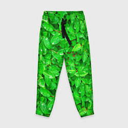 Детские брюки Зелёные листья - текстура
