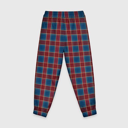 Детские брюки Красно синий клетчатый узор Шотландка / 3D-принт – фото 2