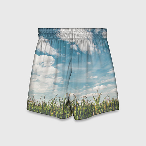 Детские шорты Небушко и полюшко / 3D-принт – фото 2