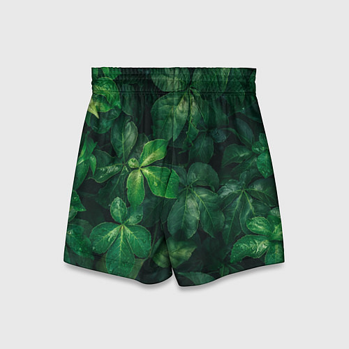 Детские шорты Тропическая листва Тропики Z / 3D-принт – фото 2