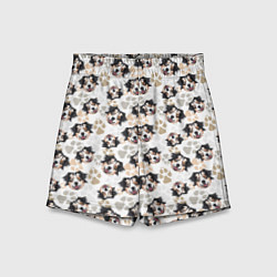 Шорты детские Собака Австралийская Овчарка, цвет: 3D-принт